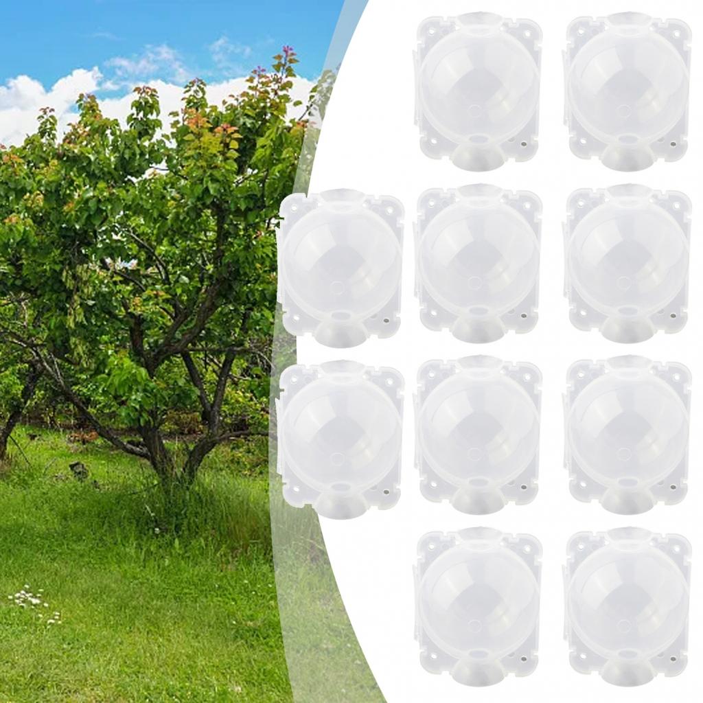 10 шт. ящик для прививки, шар для разведения, белый/прозрачный