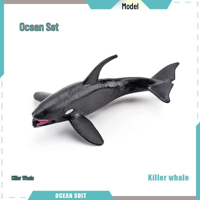 Children's Marine Animal Model Set: Mini Whale, Shark, Dolphin, Turtle, Sea Lion