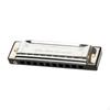 Blues Mouth Organ 10 Hole Diatonic Harmonica for Beginners Kids Outings Family Days