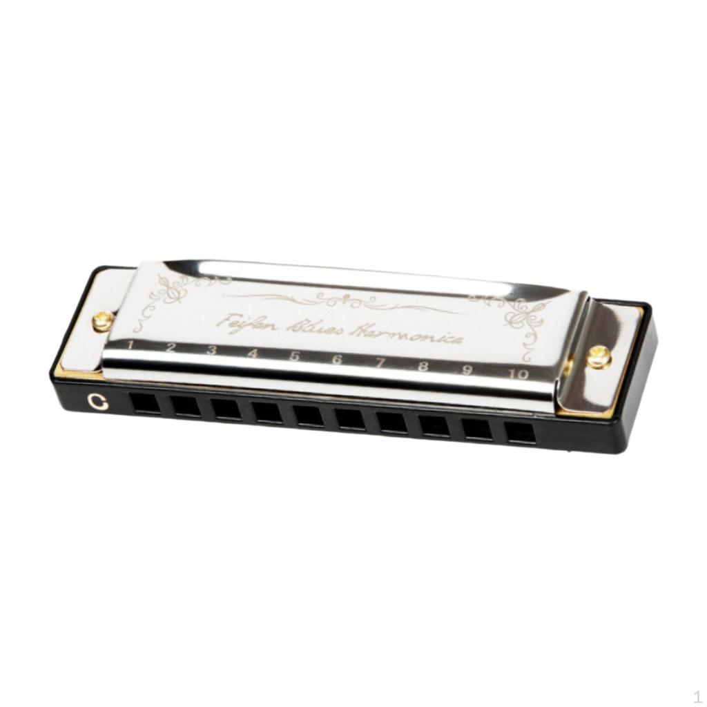 Blues Mouth Organ 10 Hole Diatonic Harmonica for Beginners Kids Outings Family Days