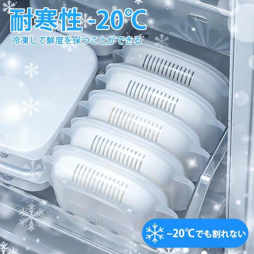 Pack of 6 Frozen Rice Containers [Food Sanitation Law Compliant, BPA-Free] Rice Freezer Storage Containers, Perfect for New Homes, Single-Serving Rice