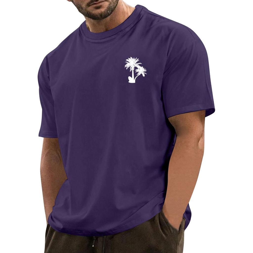 Men's Fashionable Casual Hawaiian Print Round Neck Short-Sleeved T-Shirt Top