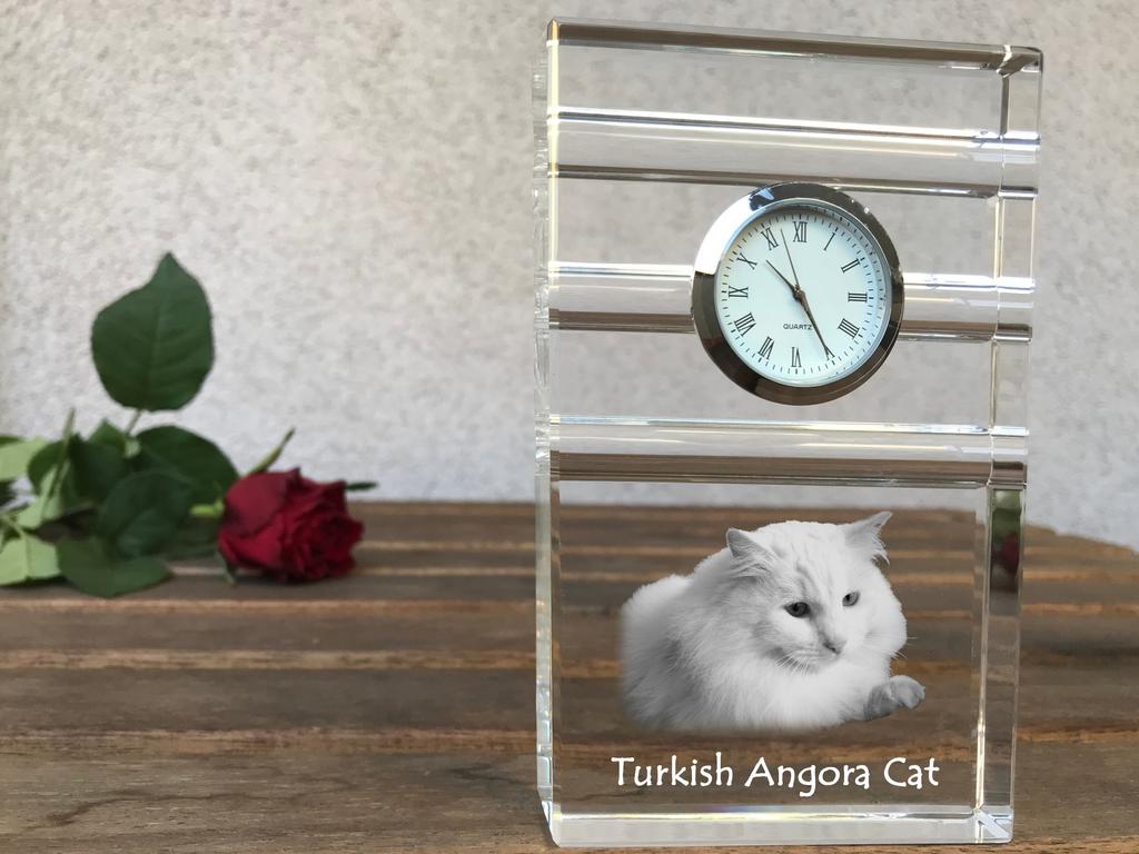 Turkish Angora – Glass clock with a photo, photo of a cat in crystal | Art-Dog