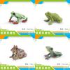 Природа Животное ПВХ Модель С Реалистичными Фигурками Лягушек Для Образовательных Детских Коллекционных Предметов