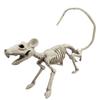 Halloween Animal Skeleton Bones Horror Simulation Skeleton Halloween Party Decoration