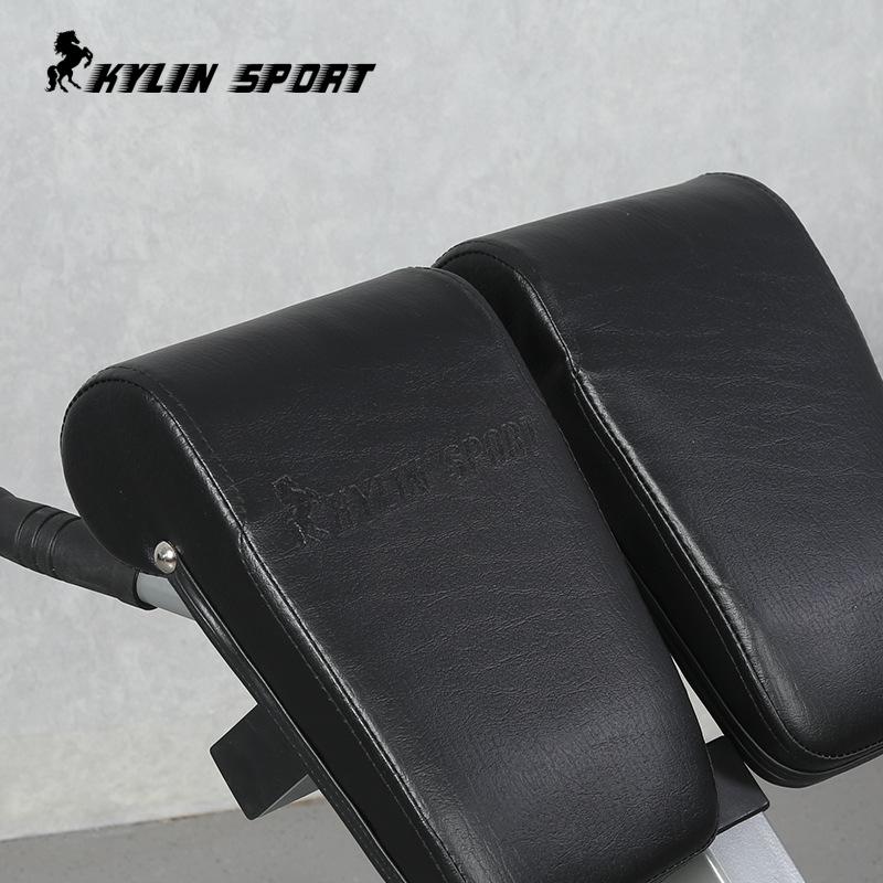 Commercial Roman Chair Back Trainer & Fitness Bench