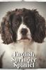 Книга English Springer Spaniel : Dog Breed Overview and Guide