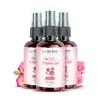 Nat Habit - 100% Pure Gulab Jal - Rose Water - Toner, Face-Mist, Astringent & Face Spray - Ayurvedic, Steam-Distilled  (Pack of 3, 100 Ml)