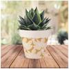[A1705] - Orange Beige 'Tropical' Bamboo Plant Pot - 14x12 Cm