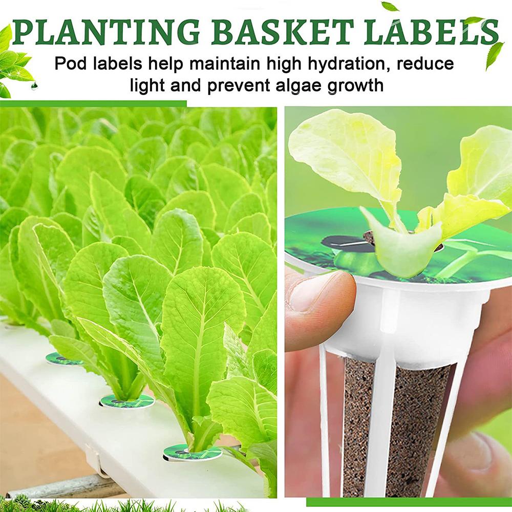 Комплект из 120 семенных коробочек, совместимых с гидропонными материалами всех марок