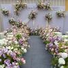 Mori Style Pink & Purple Cymbidium Flower Row for Wedding Aisle & Banquet Decoration