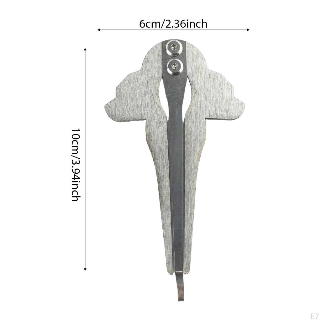 Russian Jew Harp Folk Musical Loud, Clean and Crisp Sound Ethnic Mouth