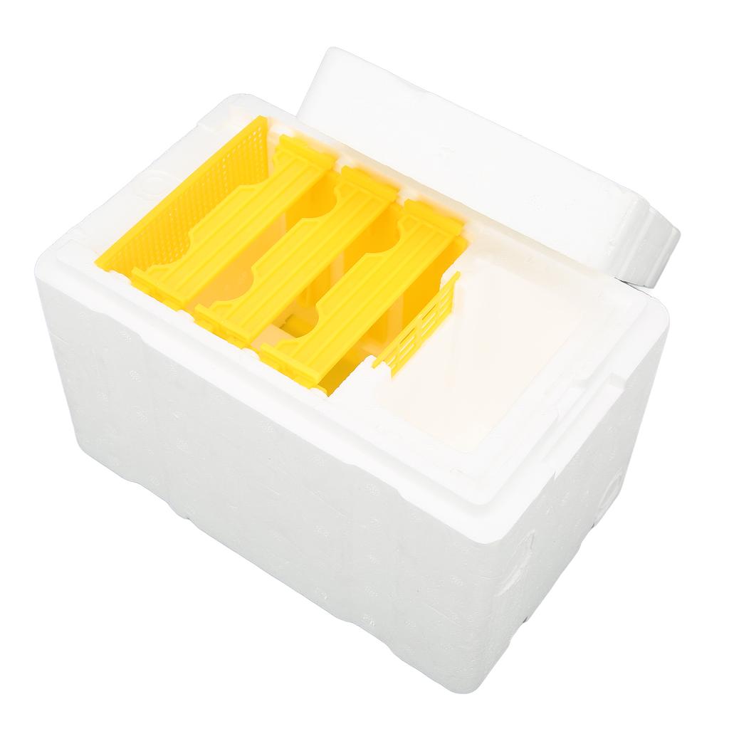 Foam Queen Box Bee Mating Foam Beehive Queen Cage Mini Queen Rearing Boxes for Beekeeping