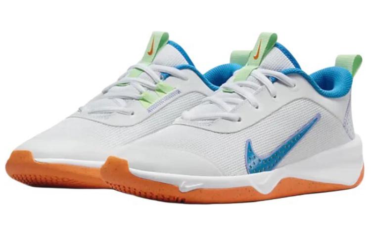 Nike Omni Multi-Court GS 'Белый Фото Синий' DM9027-107