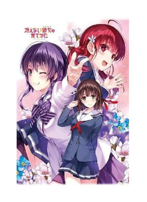 Fantasia Bunko День Благодарения 2015 Saenai Heroine no Sodatekata B2 Гобелен