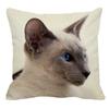 Thailand Cat Theme Pattern Double-Sided Printed Pillow Cover Short Plush Suitable Living Rooms Bedrooms Sofa Throw Cushion Cover