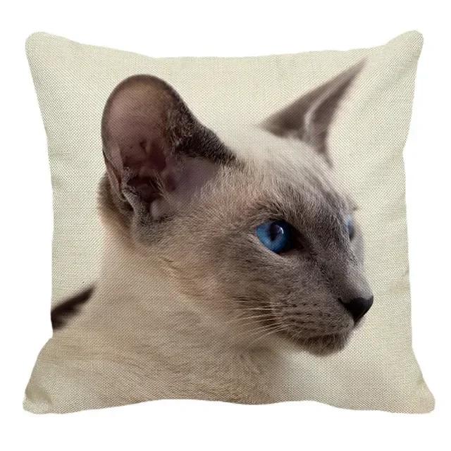 Thailand Cat Theme Pattern Double-Sided Printed Pillow Cover Short Plush Suitable Living Rooms Bedrooms Sofa Throw Cushion Cover