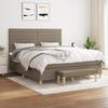 3137257 vidaXL Divan-lit Tapissier Avec Matelas Taupe 180x200 Cm Tissu