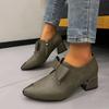 Fashion Fashion Pointed Toe Single Shoes 2025 Spring and Autumn Block Heel Kitten Heel Versatile Fashion Plus Size Women's Shoes