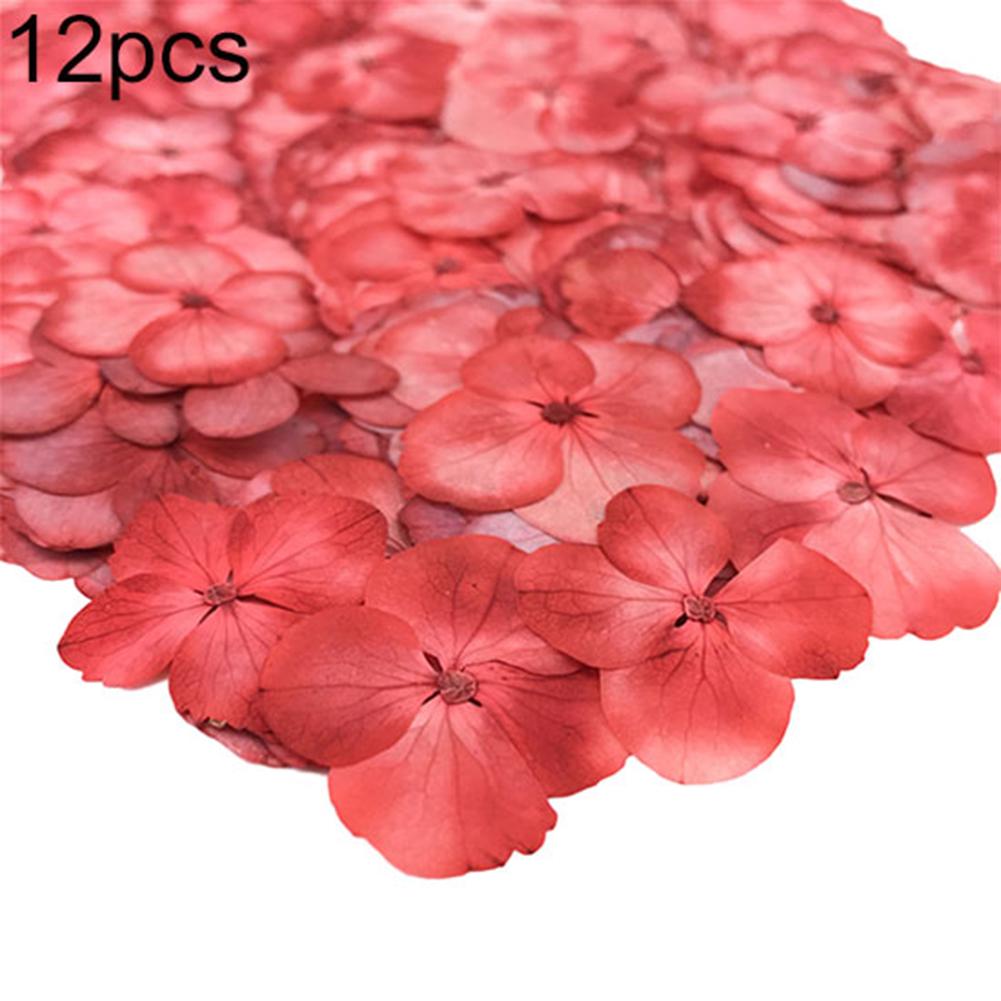 Yousheng Dried Flower 12Pcs Pressed Plant Specimen Epoxy Resin Phone Decor DIY Accessory