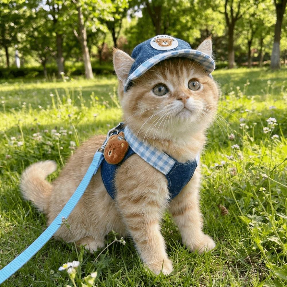 with Hat Dog Walking Vest Breathable Cartoon Pet Set Pet Supplies Pet Harness Leash Set Daily Walk
