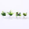 Miniature Plant Models of Simulated Potted Plants Finished Round Art Landscape Micro-landscape Ornaments