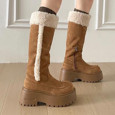 Мех Женские Снежные Высокие Сапоги Высокие Каблуки Замшевая Платформа Теплая Обувь для Женщин Короткий Плюш Модные Сапоги Комфорт Mujer Botas