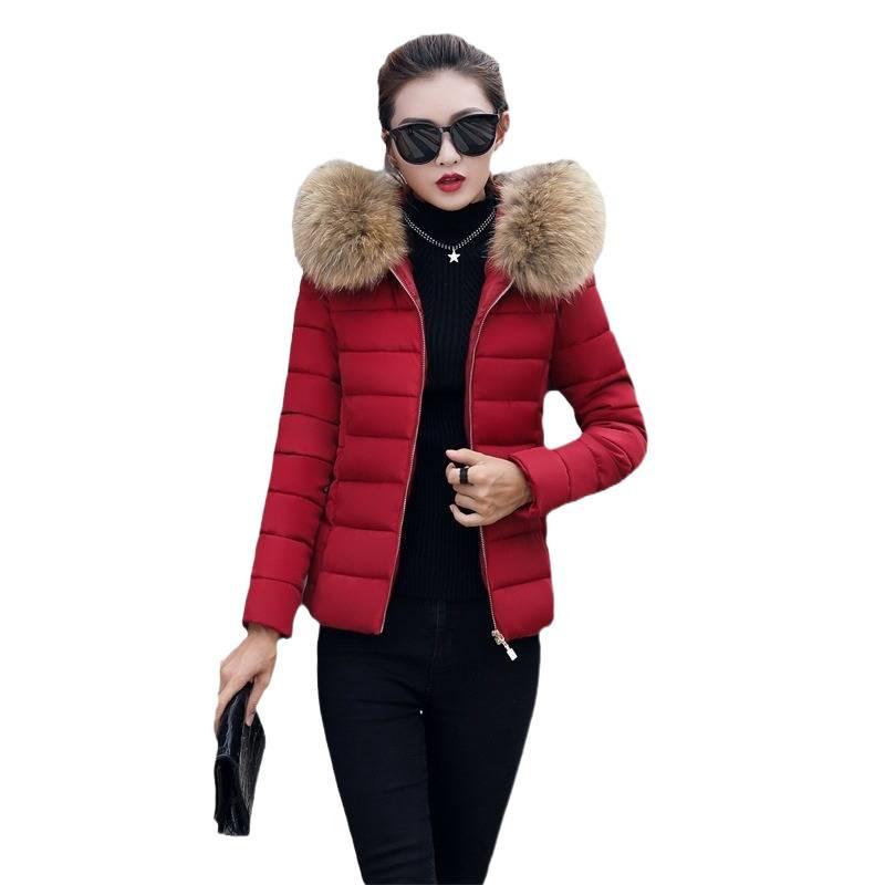 cotton-padded clothes, winter Korean version of the new women's cotton-padded clothes, women's short slim-fitting cotton-padded jackets, down cotton