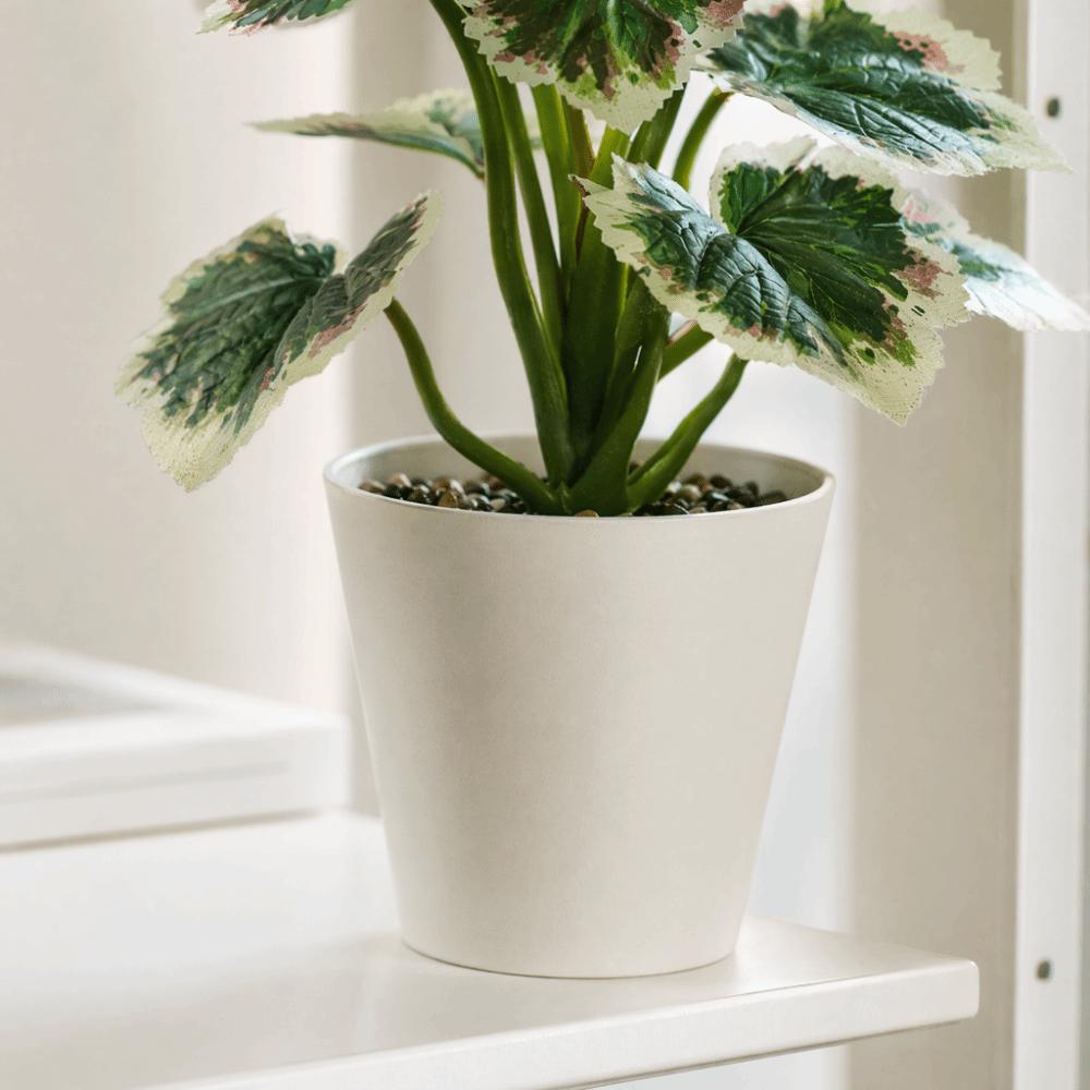 green evergreen foliage potted table ornament hotel guest room shelf display decor