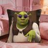 SShrekS Funny Anime Cushion Cover Premium Comfort Reversible Pillow Cove Two In One Design For Any Room  Car Interior