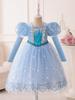 Girls Elsa Princess Frozen Dress Christmas Holiday Party Puffy Bubble Sleeve Tutu Costume for Kids