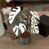 Yousheng 1 Set 3D Printed Monstera Leaf Coaster Heat-Resistant Tropical Leaves Trivet Anti-scald Mat Kitchen Countertop Coffee Cup Holder Dining Table