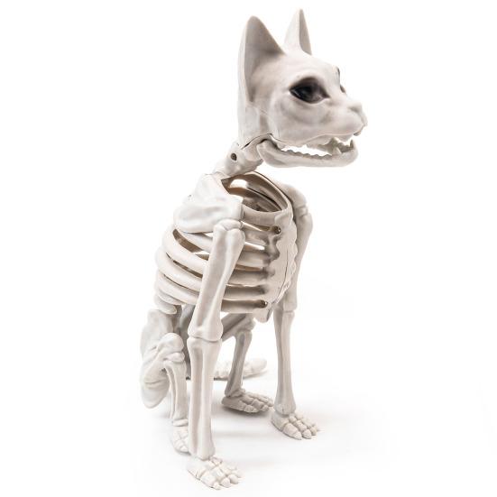 Скелет Кошки Хэллоуин Украшение Жуткая Сидящая Фигурка Скелета Кошки Пластиковые Кости Животного с Подвижными Суставами для Сцены Кладбища Дома с Привидениями