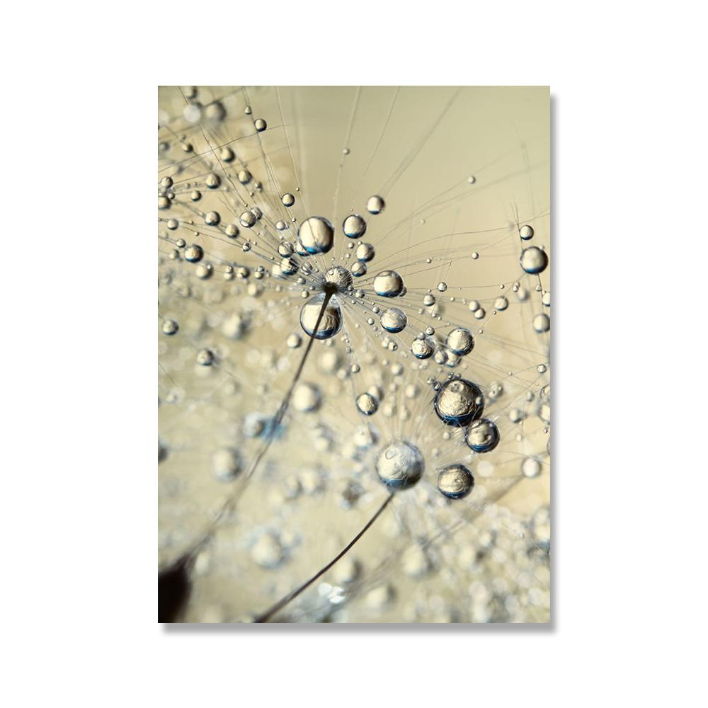 Серо-голубое растение Одуванчик Суккулент Картина на холсте Скандинавский пейзаж Фотография Постер Современный домашний декор Гостиная Спальня