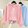 Spring and Autumn College Hooded Sweater Female Student Fashion Loose Plush Coat Ins Fashion Top Long Sleeve