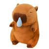 Miaomyao Plush Animal Runny Soothing Birthday Gift for Kids and 25cm Toy, Capybara, Nose, Fluffy, Item, Adults,