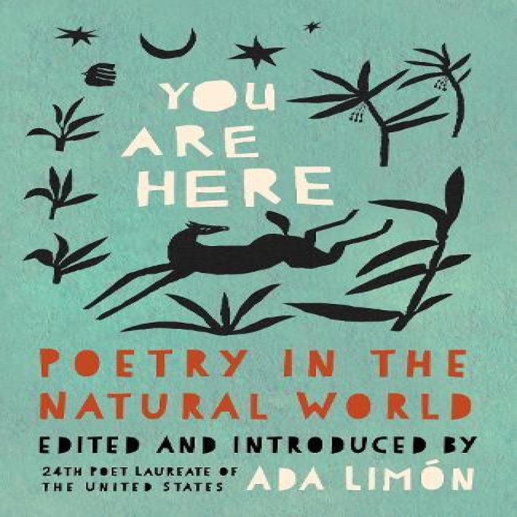 You Are Here by Ada Limn Hardback Book 9781571315687