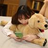 Doll Plush Toys Animals Plush Toys Labrador Dog Plush Doll Golden Retriever Plush Dog Stuffed Toys
