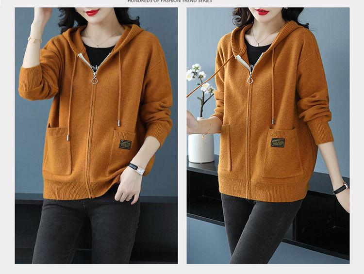 Women's Hooded Zipper Cardigan: 2025 Spring/Autumn Korean Style Casual Knit Sweater