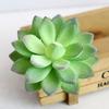 Artifical Plastic Succulent Plant Cactus Echeveria Flower Home Office Decor Gift