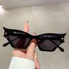 Trendy Retro Cat Eye Shades Women New Fashion Leopard Gradient Sunglasses Outdoor Decor Beach Trends Sun Glasses