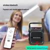 Портативная Bluetooth-колонка Newman K97 с радио и караоке, штекер CN (адаптер в комплекте)
