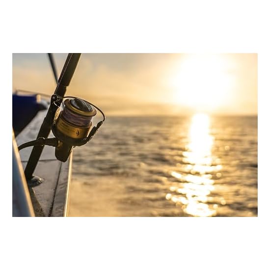 PENN Spinfisher VII 4500 Saltwater Spinning Reel, Right/Left Handle Position, IPX5 Sealed, HT-100 Fr