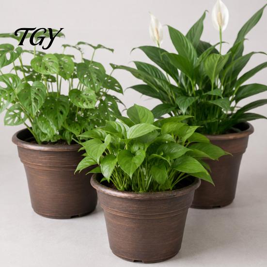 Lightweight Durable Plant Holders Retro Flower Pot with Saucer, Bronze Finish Drainage Holes, Pots Saucers Breathable Thickened Plastic Planter