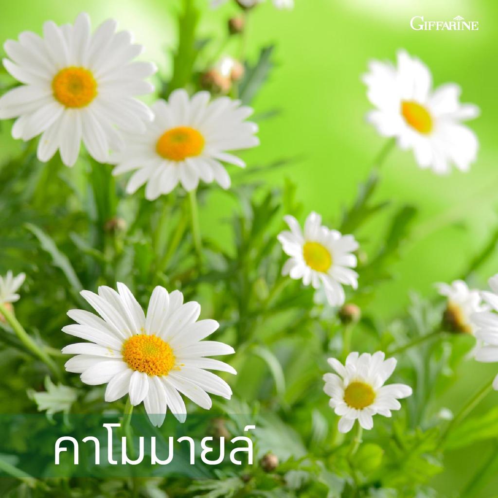Giffarine Зубная паста Bio Herbal Plus 160 г. 11617 Тайский