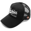 Сетчатая кепка Dickies большого размера, оверсайз, с унисекс номером, (57-59см), Логотип, Мужской, Женский, (Япония, Размеры 57,0 см, 59,0 см, ЧЕРНЫЙ/БЕЛЫЙ (Сценарий