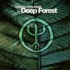 CD DEEP FOREST  Сущность Леса BK86472 Sony Music 2004 Канада Танцевальная Электроника Б/у