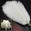 10Pcs 25-30cm Large Ostrich Feather Plume Costume Wedding Xmas Party Decoration