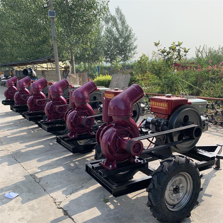 12-Inch Mixed-Flow Pump with Four-Cylinder Engine for Farmland Irrigation