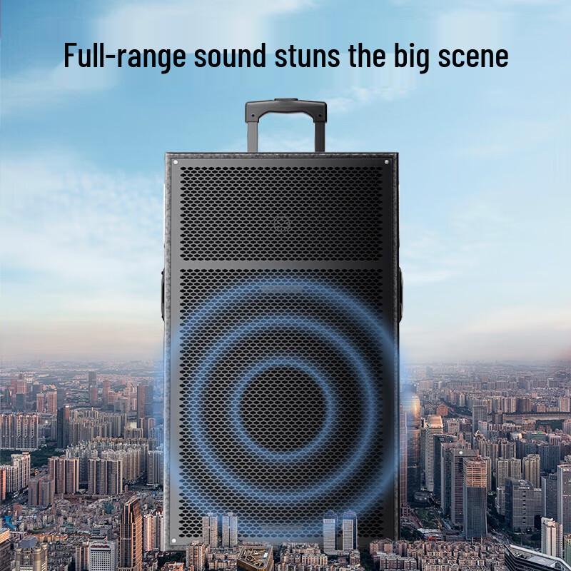 Newman N550 12-inch Portable Outdoor Bluetooth Speaker with Microphone